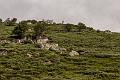 2017_08_09_Auvergne (0016)